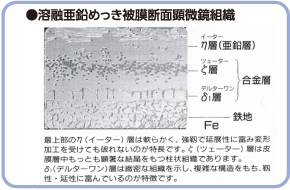 溶融亜鉛めっき被膜断面